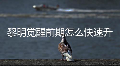 明觉怎么黎明 黎醒快觉醒级方前期快速升级速升绍法介